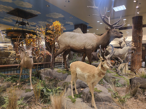 Shopping Mall «Harrisburg Mall», reviews and photos, 3501 Paxton St, Harrisburg, PA 17111, USA