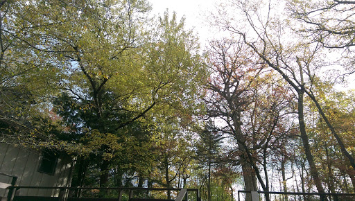 Public Golf Course «Oak Hills Golf Course», reviews and photos, 13200 S 76th Ave, Palos Heights, IL 60463, USA