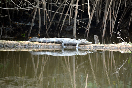 Boat Tour Agency «River Lilly Cruises», reviews and photos, 500 E Prima Vista Blvd, Port St Lucie, FL 34983, USA