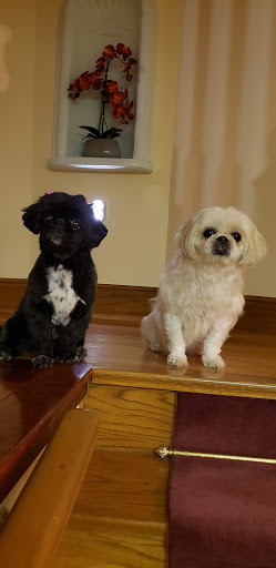 Pet Supply Store «Petco Animal Supplies», reviews and photos, 5994 Montana Ave, El Paso, TX 79925, USA