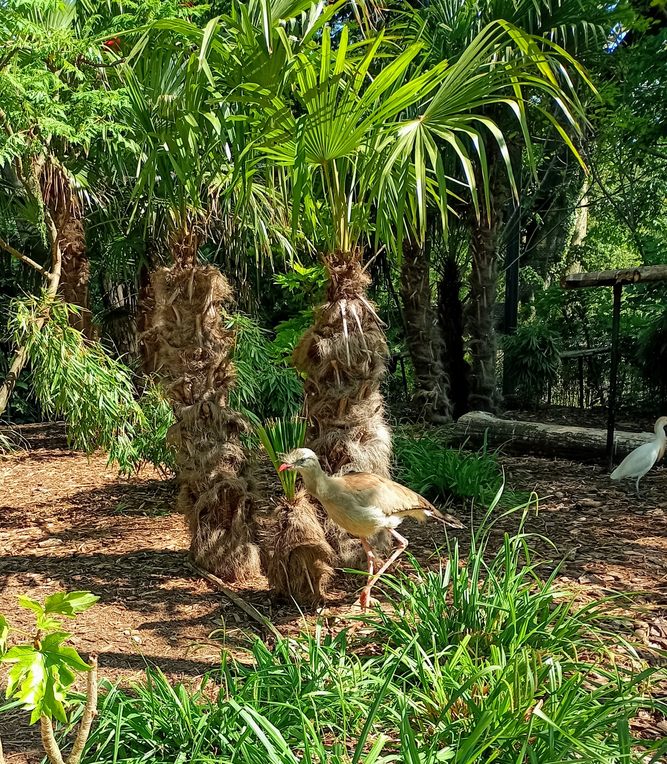 Photo n° 3 de l'avis de Caroline.o fait le 02/06/2021 à 11:48