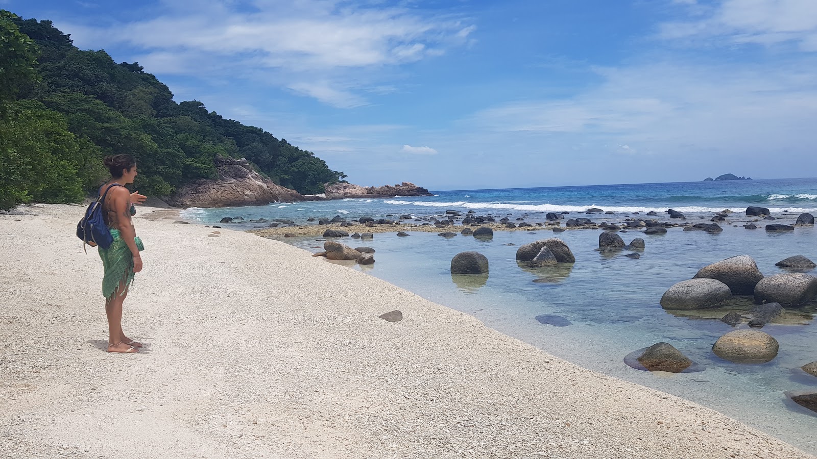 Photo de Plage des Tortues zone sauvage