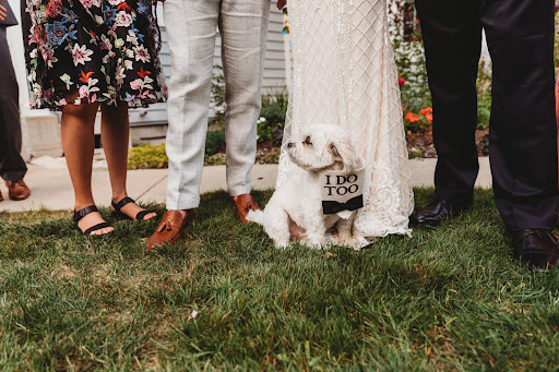 Bridal Shop «Bridal Boys By Complete Bridal», reviews and photos, 12 E Main St #2, East Dundee, IL 60118, USA