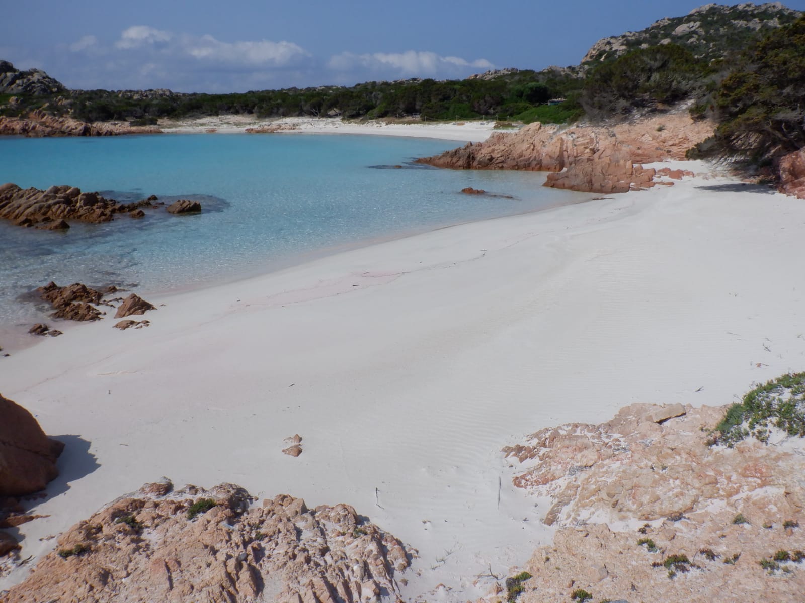 Pink beach photo #14