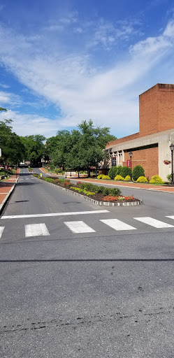 Convenience Store «Wawa», reviews and photos, 225 Cattell St, Easton, PA 18042, USA