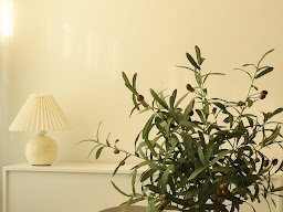 Vanillaa.studio