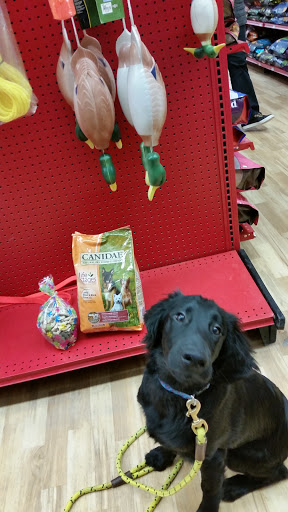 Pet Supply Store «Petco Animal Supplies», reviews and photos, 6805 Mills Civic Pkwy #140, West Des Moines, IA 50266, USA
