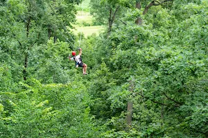 Long Hollow Canopy Tours image