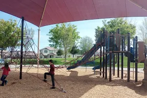 Swainson’s Hawk Park image