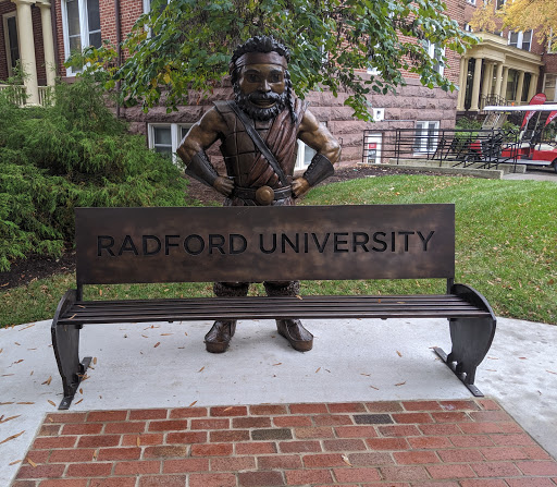 University «Radford University», reviews and photos