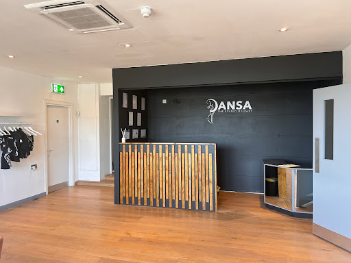 Dansa - The Studio Belfast Limited