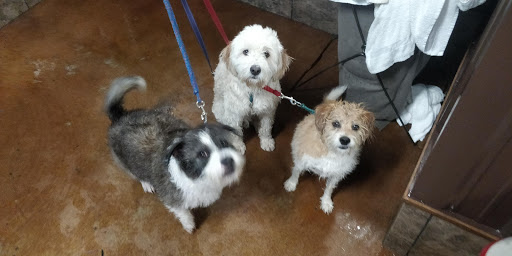 Pet Supply Store «Pet Food Plus», reviews and photos, 2819 E Hamilton Ave, Eau Claire, WI 54701, USA