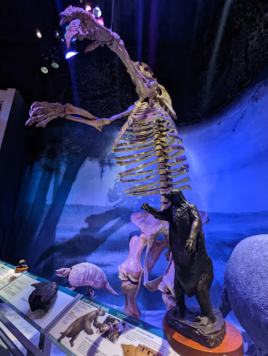 Natural History Museum «Florida Museum of Natural History», reviews and photos, 3215 Hull Rd, Gainesville, FL 32611, USA