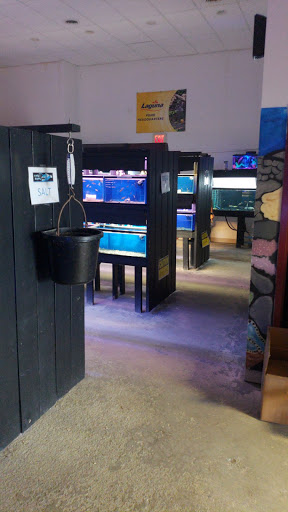 Pet Supply Store «The Fish Bowl», reviews and photos, 4000 S Dupont Hwy # 101, Dover, DE 19901, USA