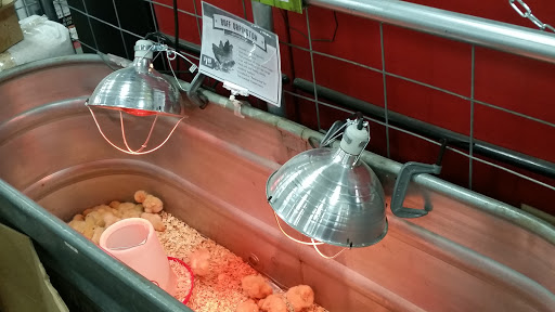 Home Improvement Store «Tractor Supply Co.», reviews and photos, 1733 Lincoln Way E, Chambersburg, PA 17201, USA