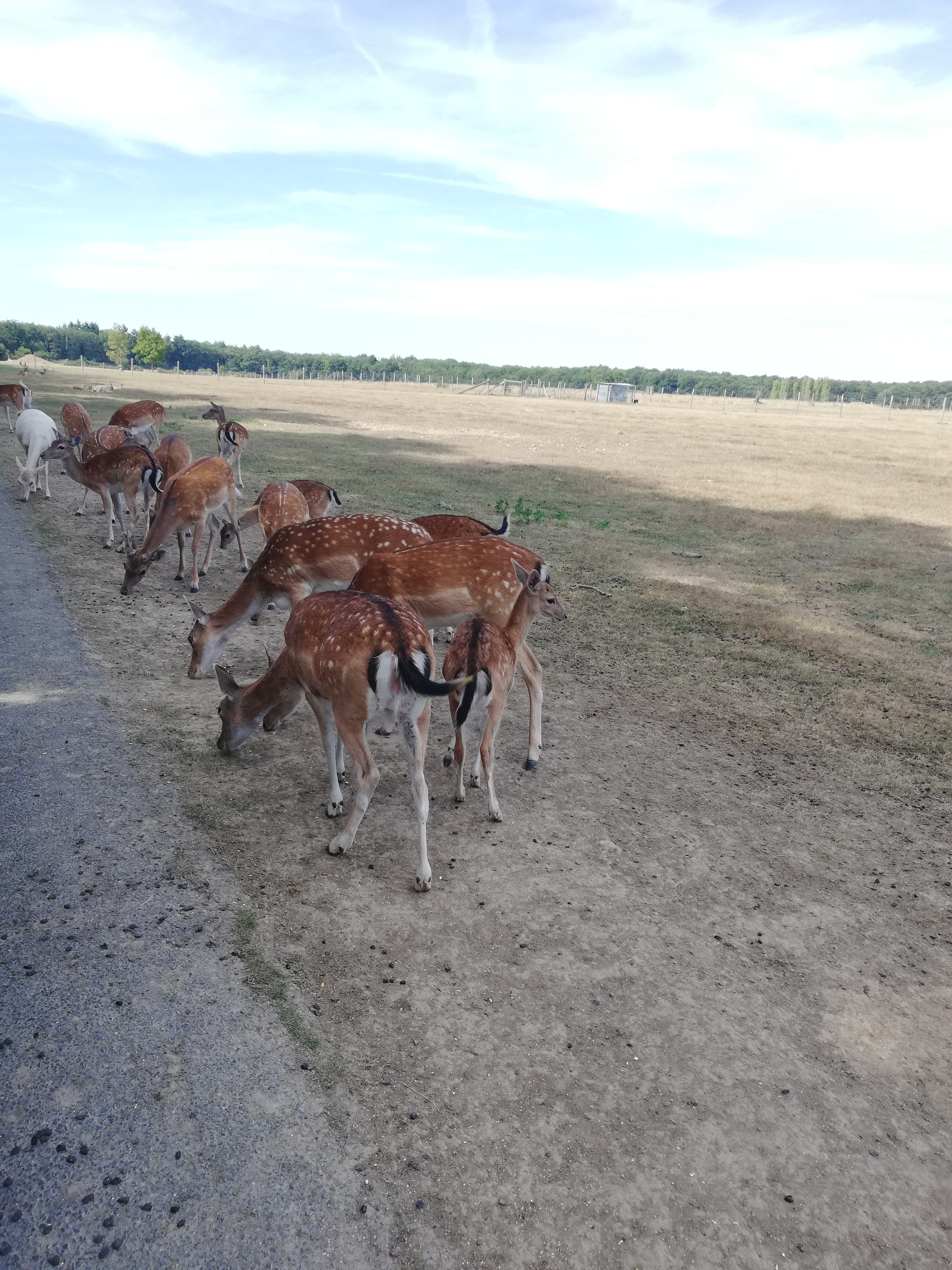 Photo n° 26 de l'avis de Severine.e fait le 23/08/2019 à 23:18