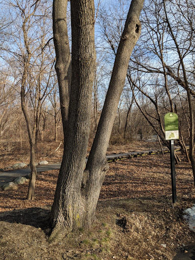 Nature Preserve «Dolan Pond Conservation Area», reviews and photos, Webster Park, West Newton, MA 02465, USA