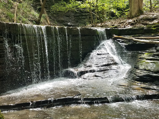 Nature Preserve «Sweedler and Thayer Preserves», reviews and photos, 10 Townline Rd, Ithaca, NY 14850, USA