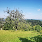 Photo n°4 de l'avis de U..e fait le 21/09/2021 à 15:04 sur le  Imbiss Löwensteiner-Platte à Löwenstein