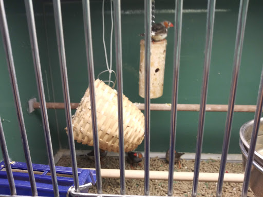 Pet Supply Store «Pet Club Santa Rosa», reviews and photos, 1935 Santa Rosa Ave, Santa Rosa, CA 95407, USA