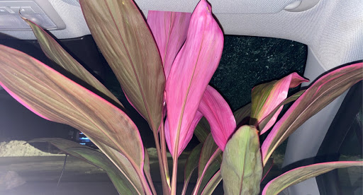 Home Improvement Store «The Home Depot», reviews and photos, 154 Topsham Fair Mall Rd, Topsham, ME 04086, USA