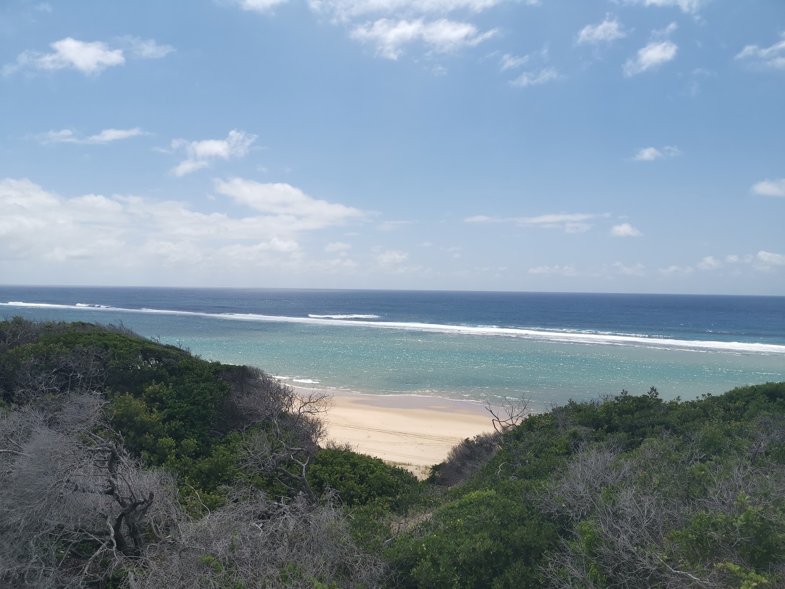 Photo de Island Rock Beach avec l'eau turquoise de surface