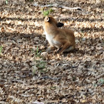 Photo n°17 de l'avis de PIERO.E fait le 02/09/2022 à 11:49 sur le  TUI MAGIC LIFE Calabria à Contrada Difesa I