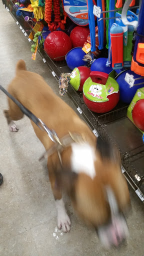 Pet Supply Store «Petco Animal Supplies», reviews and photos, 5850 Sepulveda Blvd, Van Nuys, CA 91411, USA