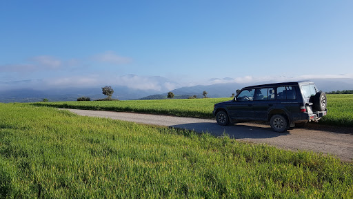 TALLERS SERENA SL en Solsona, Lleida