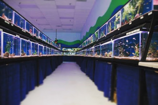 Pet Store «World of Wet Pets», reviews and photos, 8542 SW Apple Way, Portland, OR 97225, USA