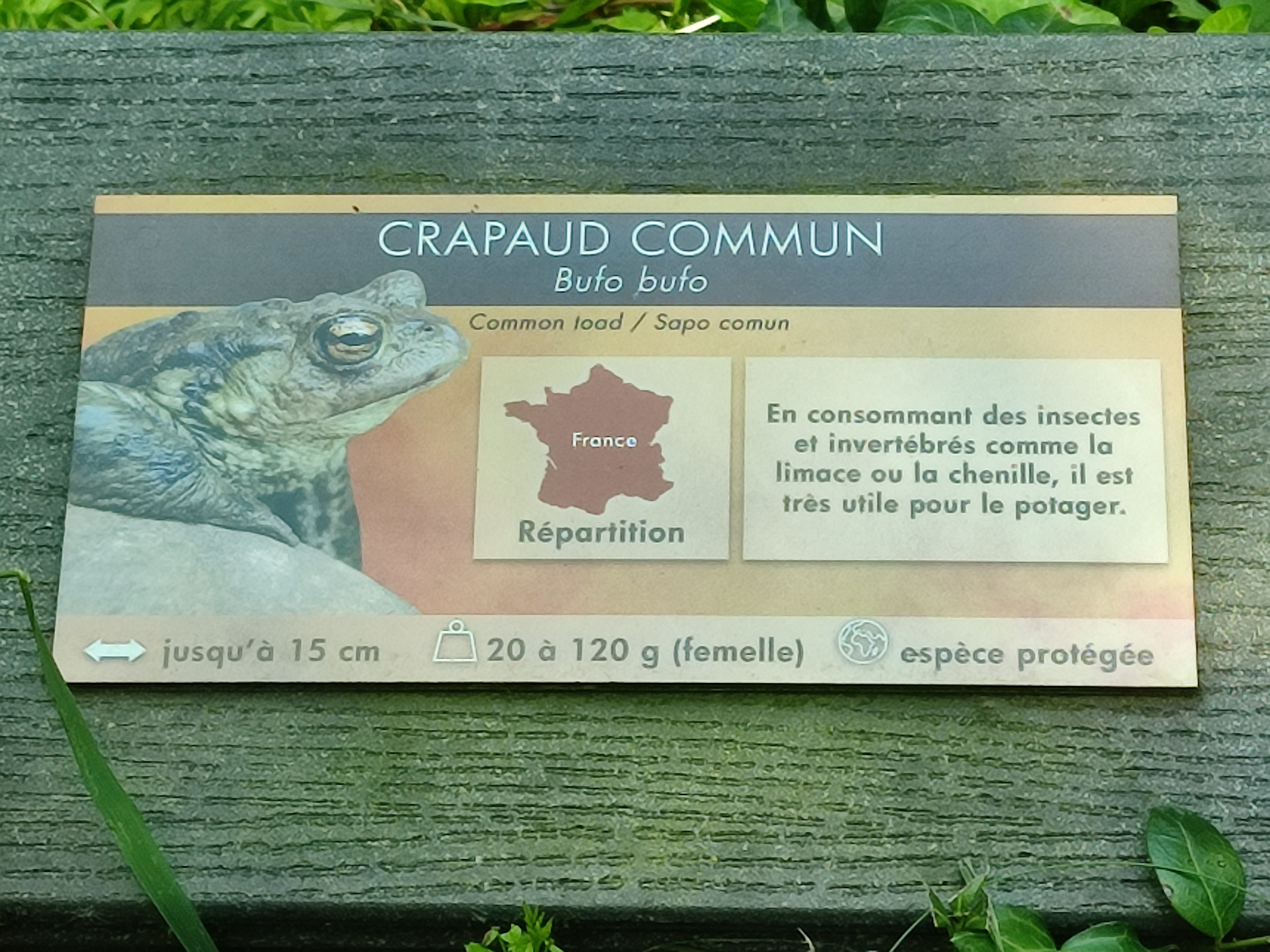 Photo n° 14 de l'avis de Julien.a fait le 02/06/2023 à 04:00