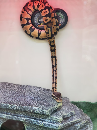 Pet Supply Store «Pet Supplies Plus», reviews and photos, 5394 Kemps River Dr Suite 101, Virginia Beach, VA 23464, USA