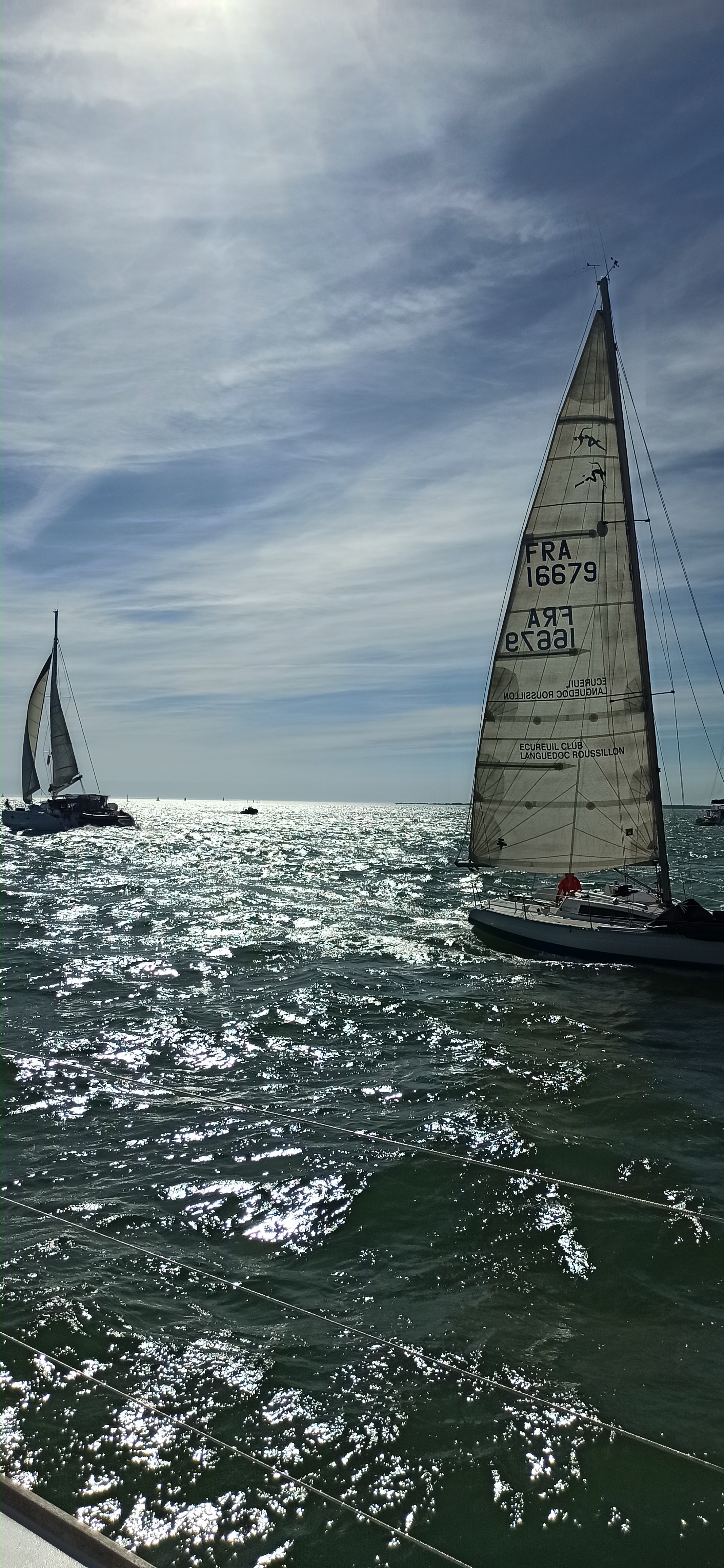 Photo n° 3 de l'avis de ver.e fait le 15/07/2022 à 16:06