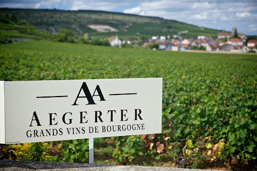 Domaine Aegerter à Nuits-Saint-Georges