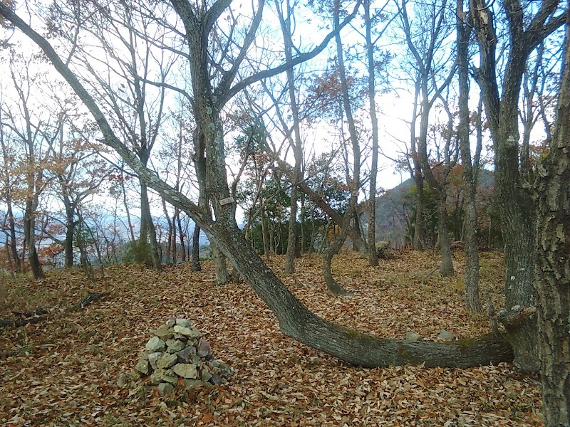 香登城跡