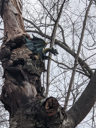 Outdoor Sports Store «Maple Hill Disc Golf», reviews and photos, 132 Marshall St, Leicester, MA 01524, USA