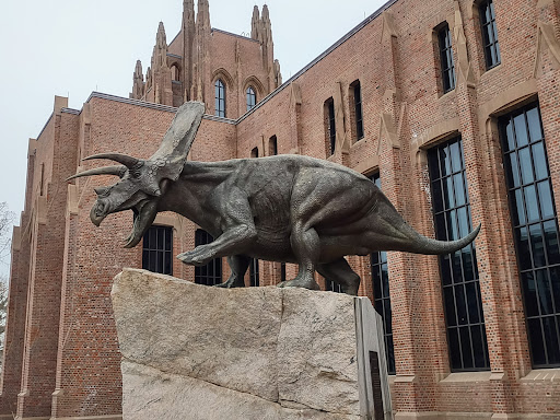 Sewer Repair New Haven