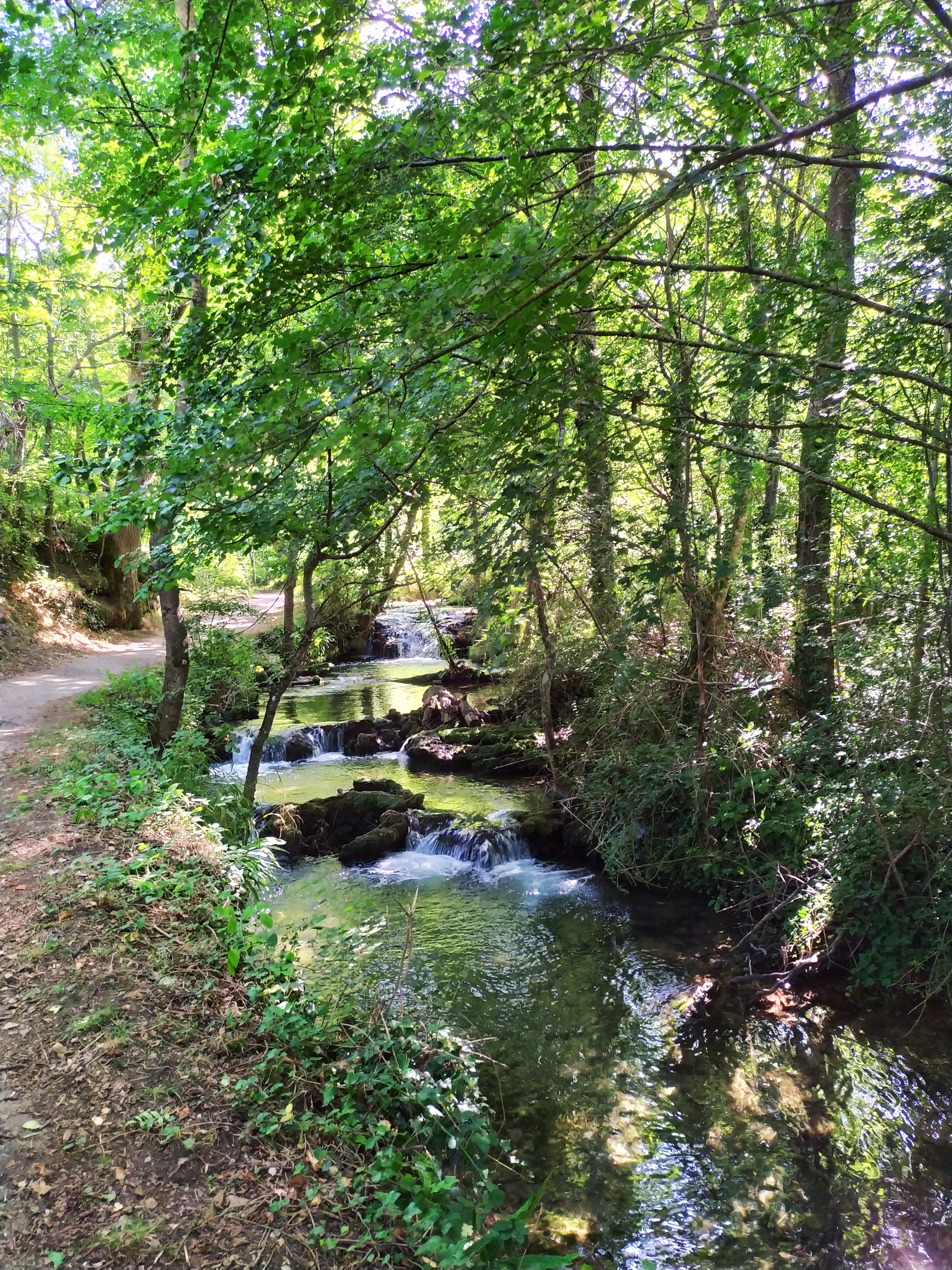 Photo n° 6 de l'avis de Estel.a fait le 17/08/2019 à 05:32