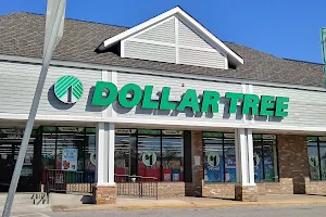 Dollar Tree image