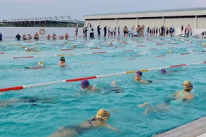 SDAA Swim School image