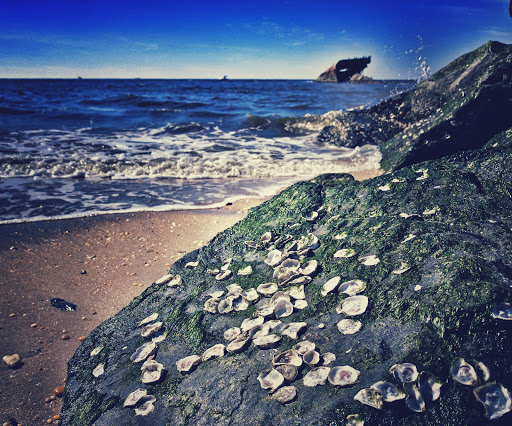 Historical Landmark «Wreck of the SS Atlantus», reviews and photos, Sunset Blvd, Cape May, NJ 08204, USA
