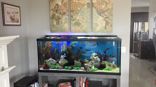 Pet Store «Fish Bowl Aquarium & Pet Mart», reviews and photos, 425 Pleasant St # 21, Fall River, MA 02721, USA