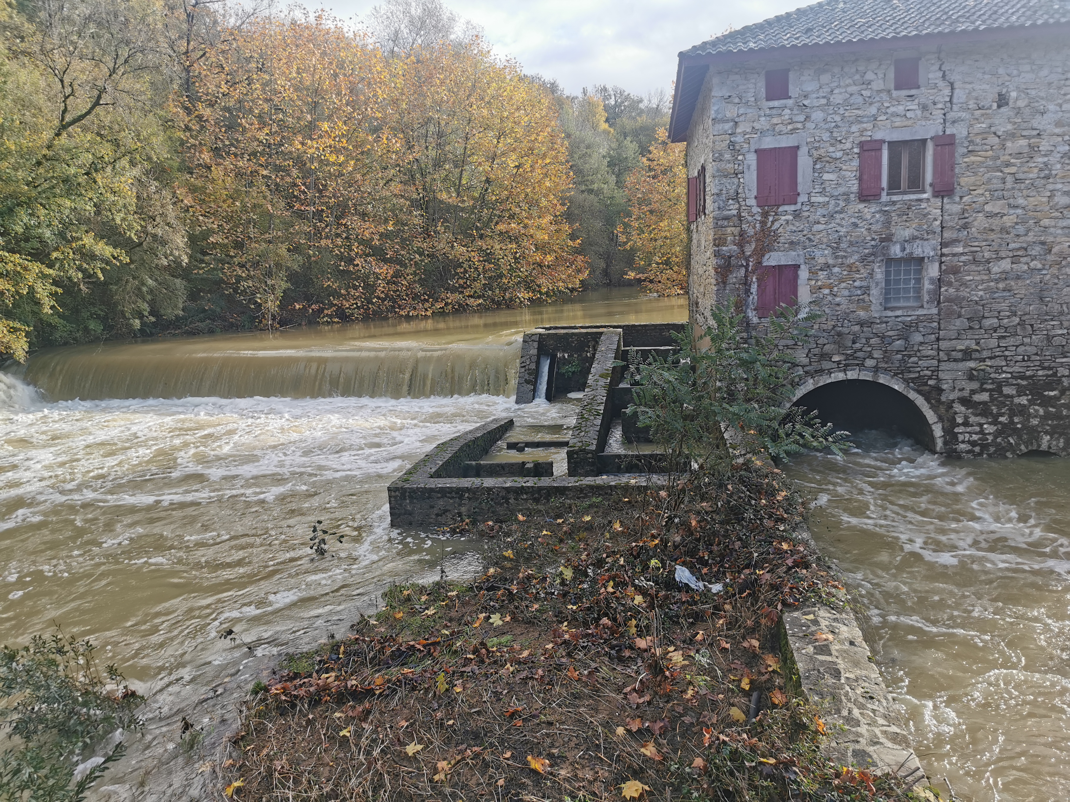Photo n° 2 de l'avis de Twan.e fait le 29/11/2022 à 21:45