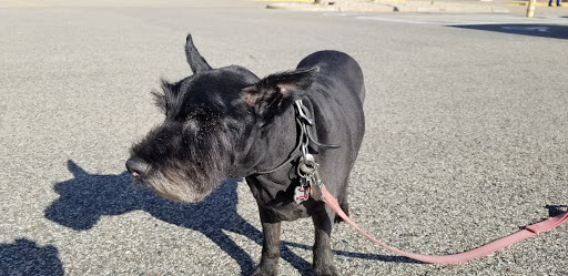 Pet Supply Store «Petco Animal Supplies», reviews and photos, 14051 Aldrich Ave S, Burnsville, MN 55337, USA