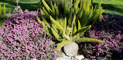 Cemetery «Green Valley Mortuary & Cemetery», reviews and photos, 3004 Alexandrite Dr, Rescue, CA 95672, USA