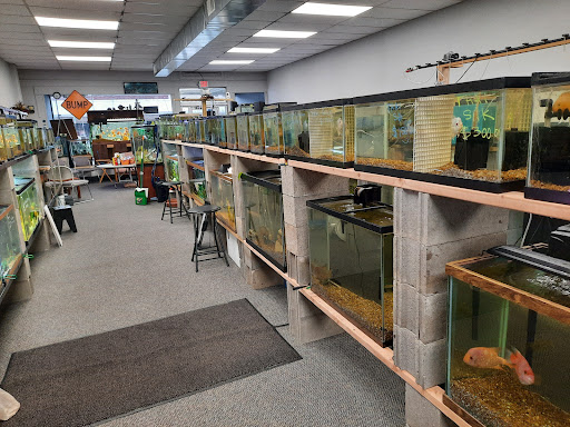 Life Fish Aquatic Pet Store