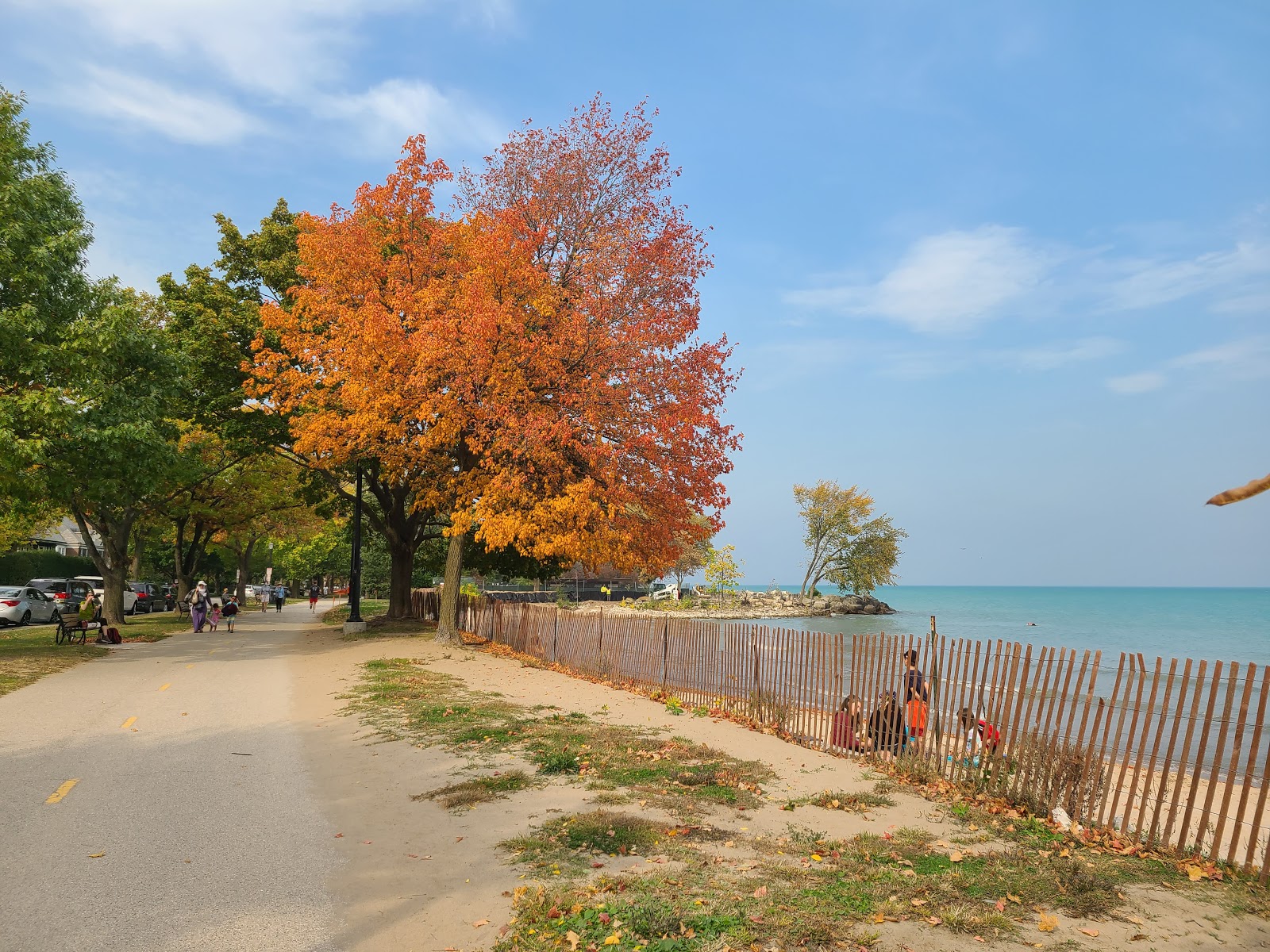 Lee Street Beach photo #8
