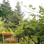 Photo n°1 de l'avis de Francesca. fait le 26/08/2020 à 20:59 sur le  Hotel Mehrhauser S Nals à Nals