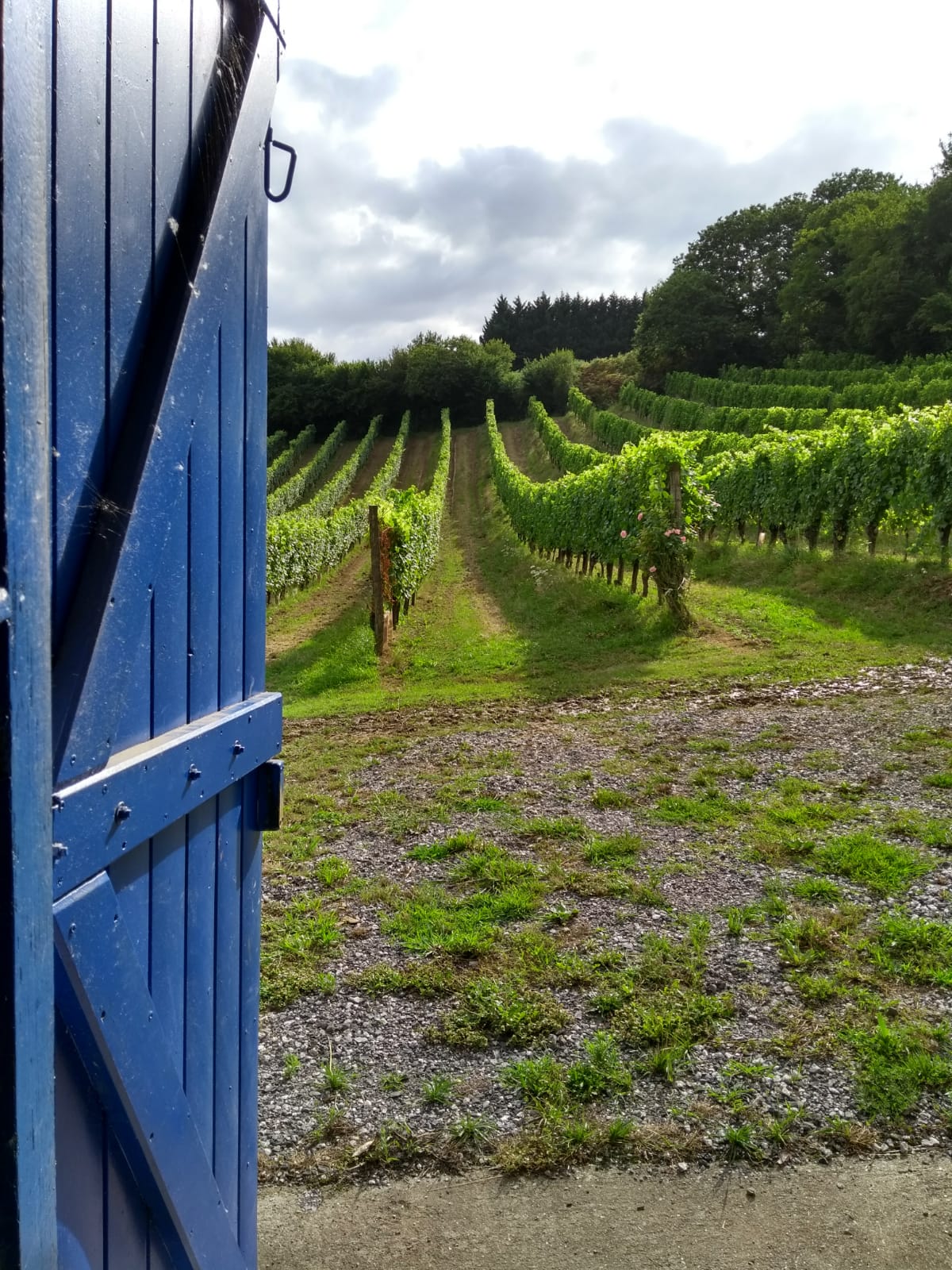Photo n° 3 de l'avis de Nick.u fait le 11/08/2019 à 18:08