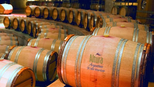 Argentina Tourism & Wine | Altura
